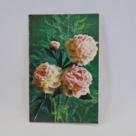 Картинка 1