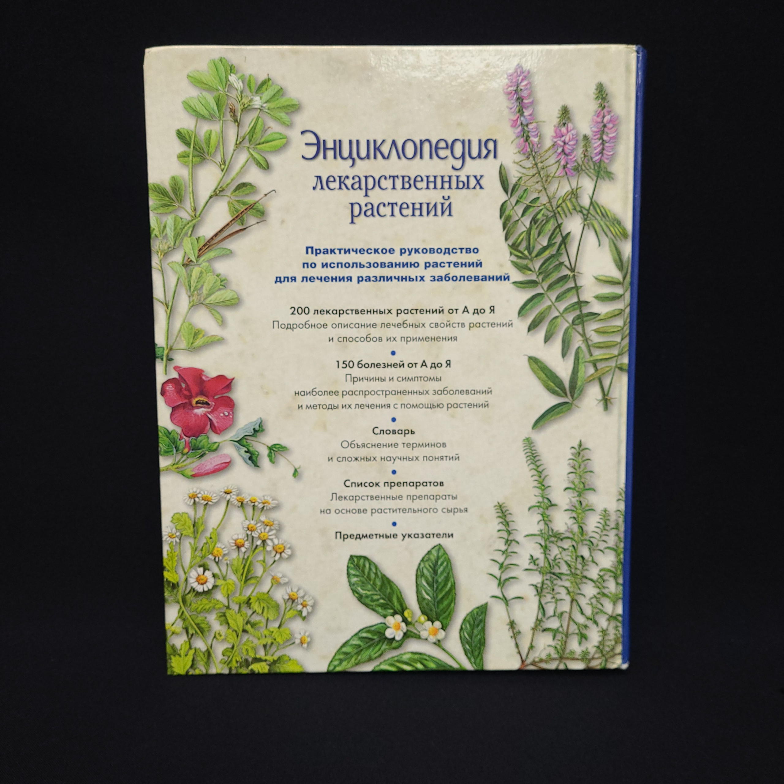 Картинка 2