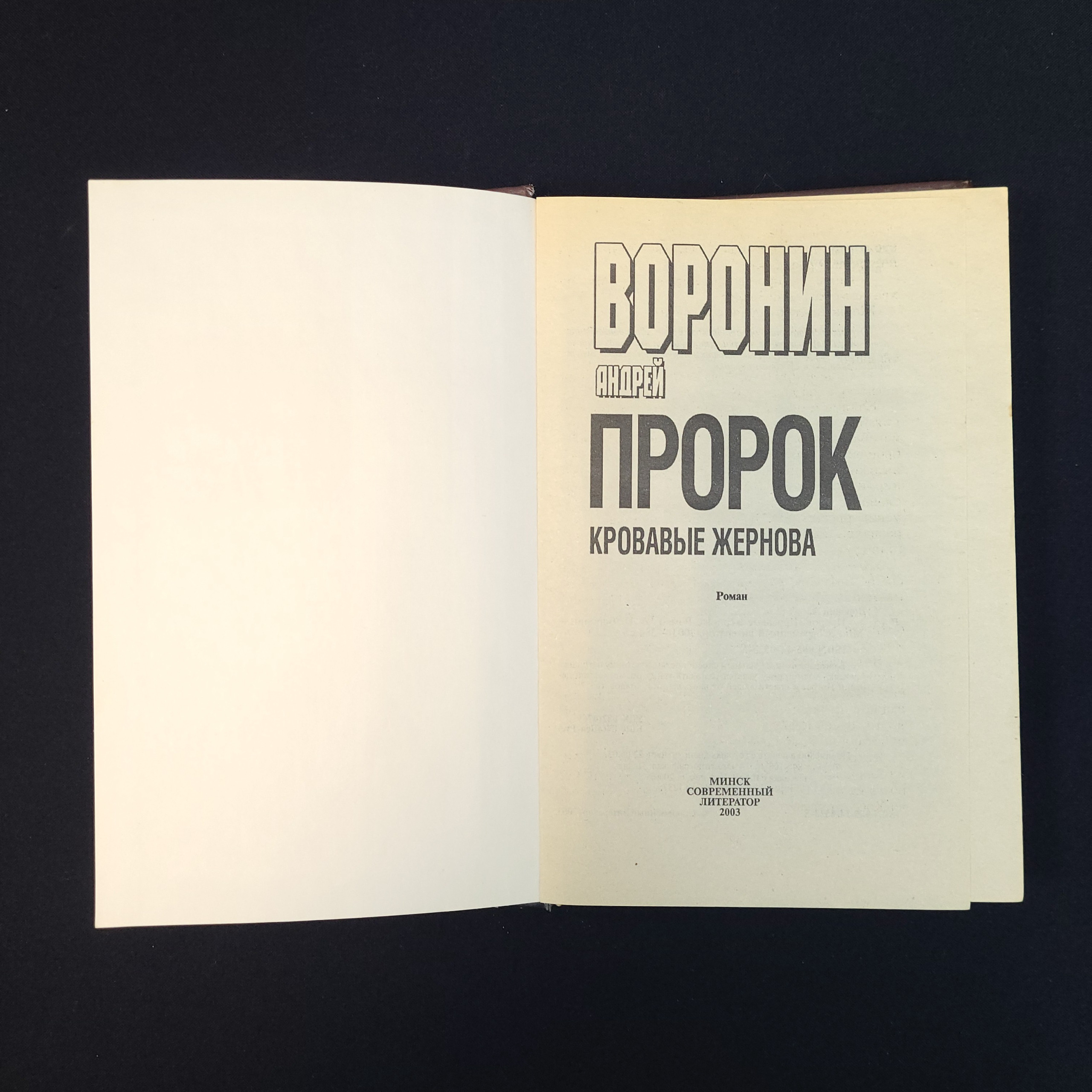 Картинка 4