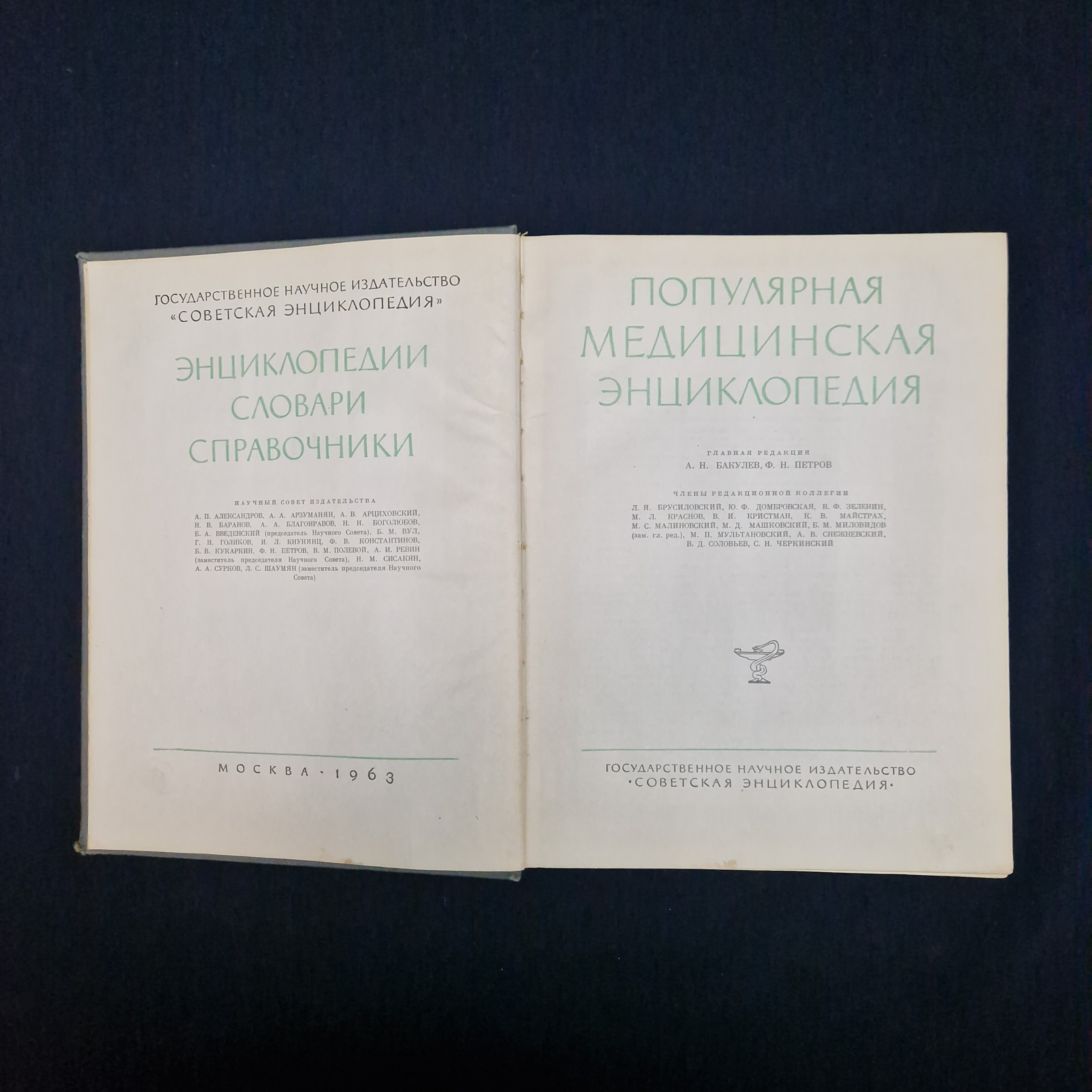 Картинка 4