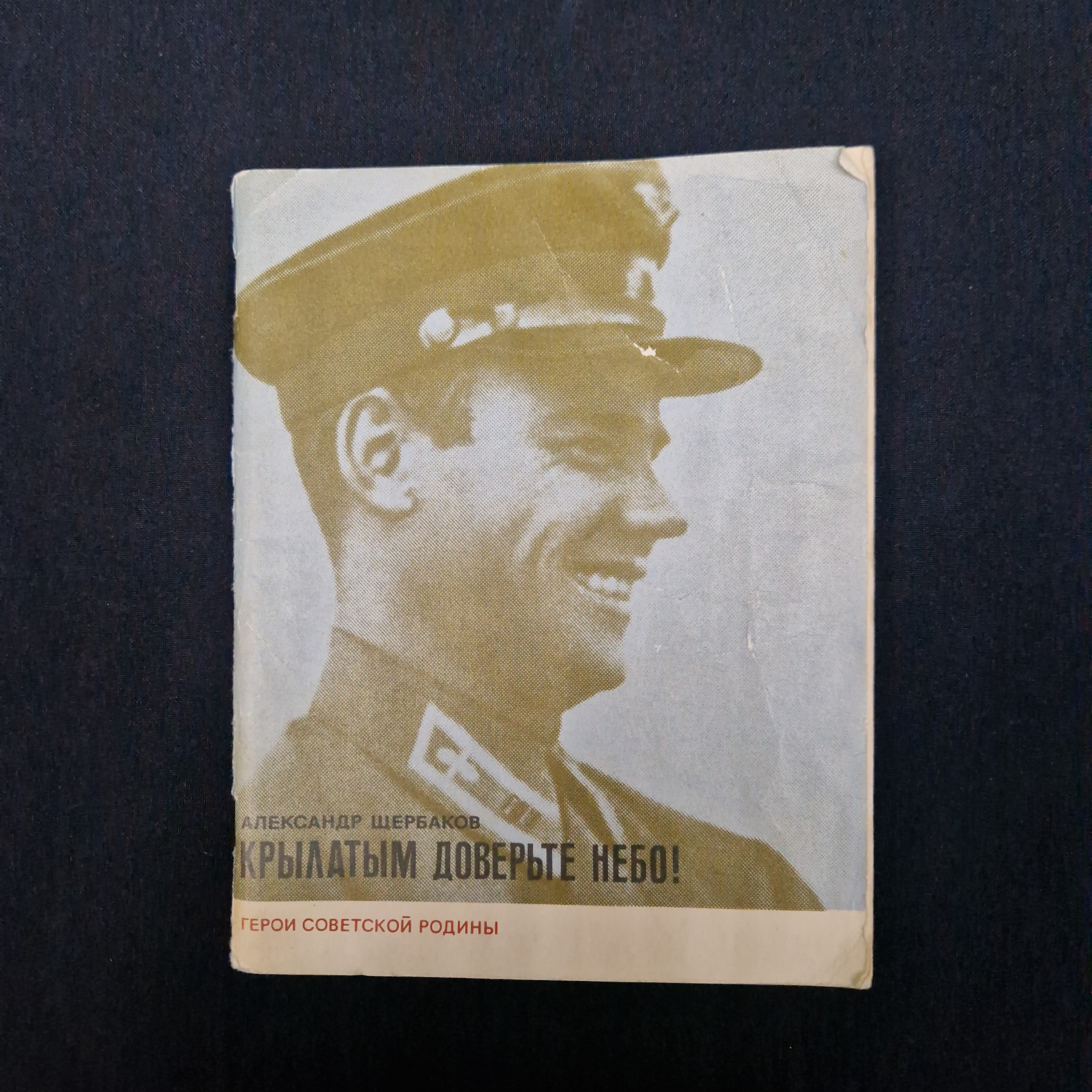 Картинка 1