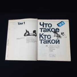 Картинка 4
