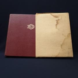 Картинка 1