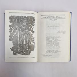 Картинка 4