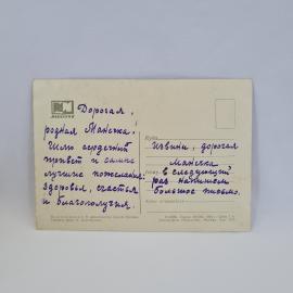 Картинка 2