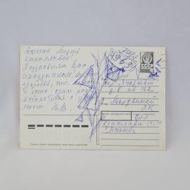 Картинка 2