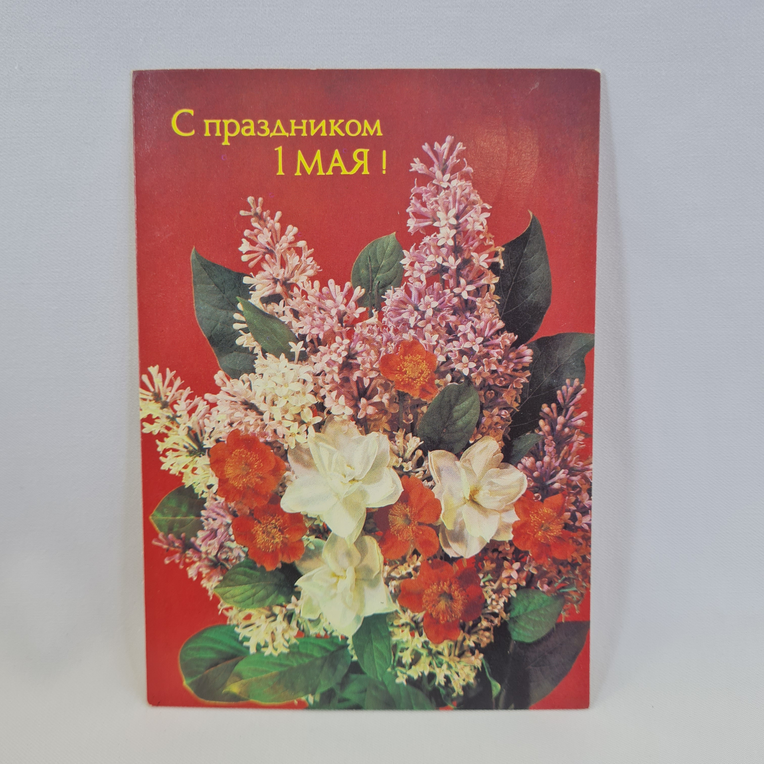 Картинка 1