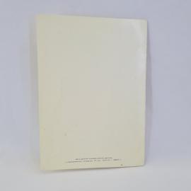 Картинка 3