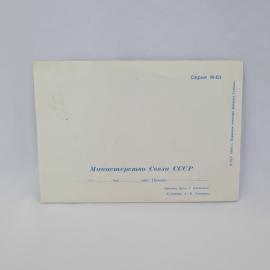 Картинка 3