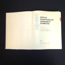Картинка 4