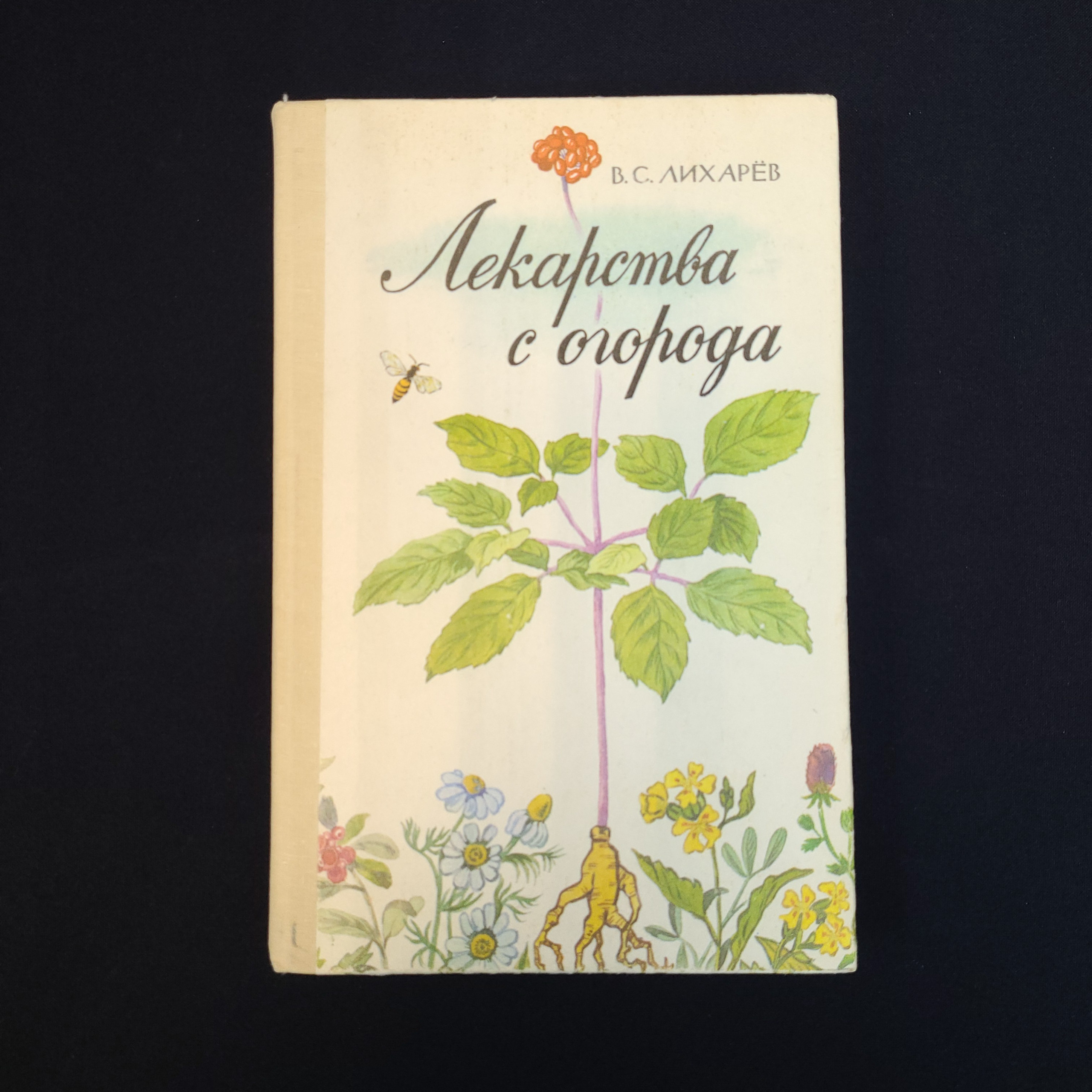 Картинка 1