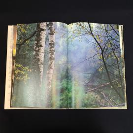 Картинка 6