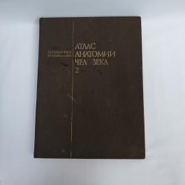 Картинка 1