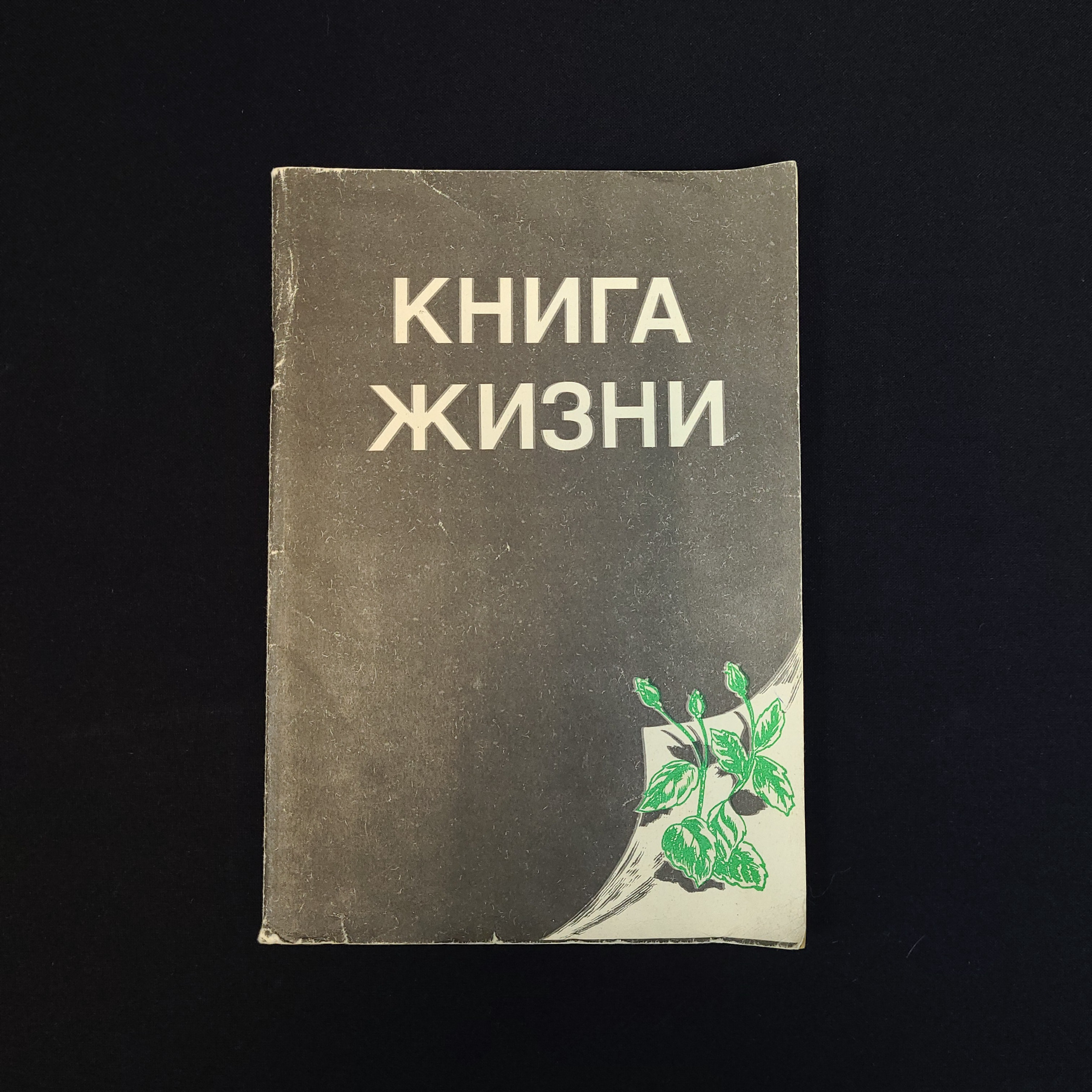 Картинка 1