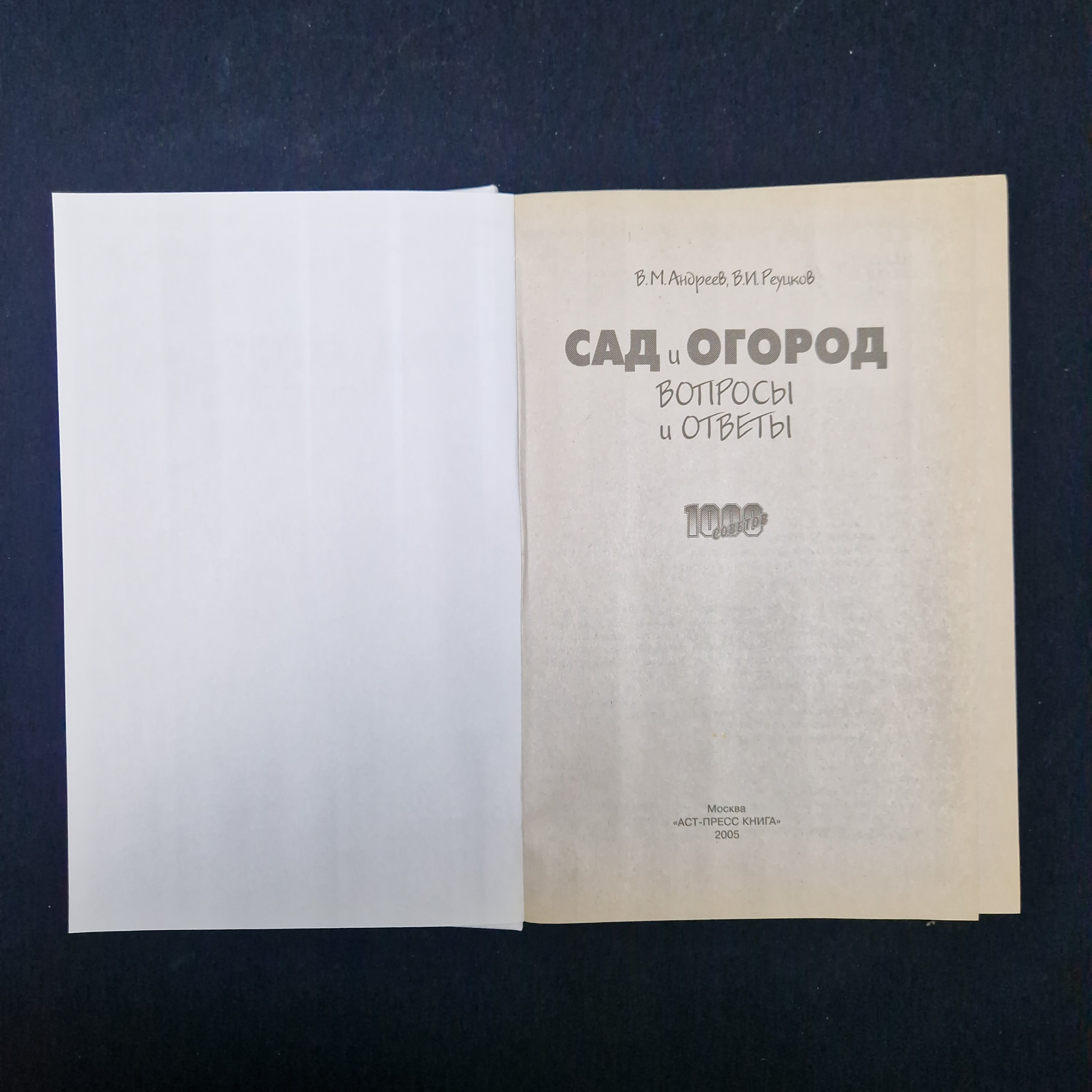 Картинка 3