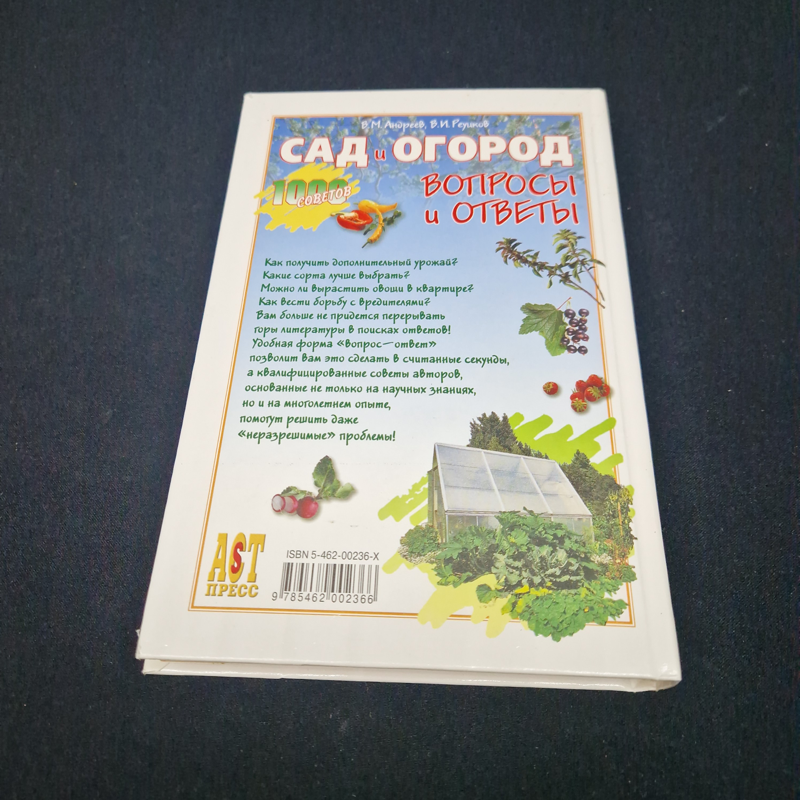 Картинка 6