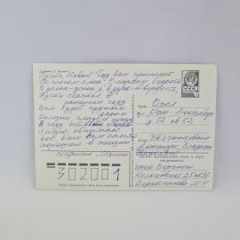 Картинка 2