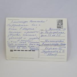 Картинка 2