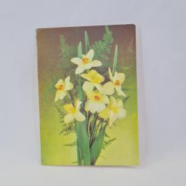 Картинка 1