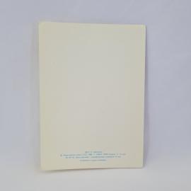 Картинка 3