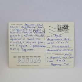 Картинка 2