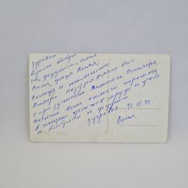Картинка 2