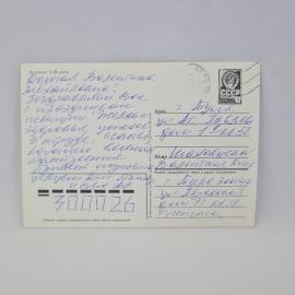 Картинка 2