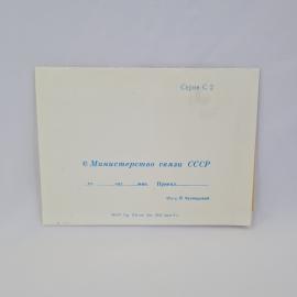 Картинка 3