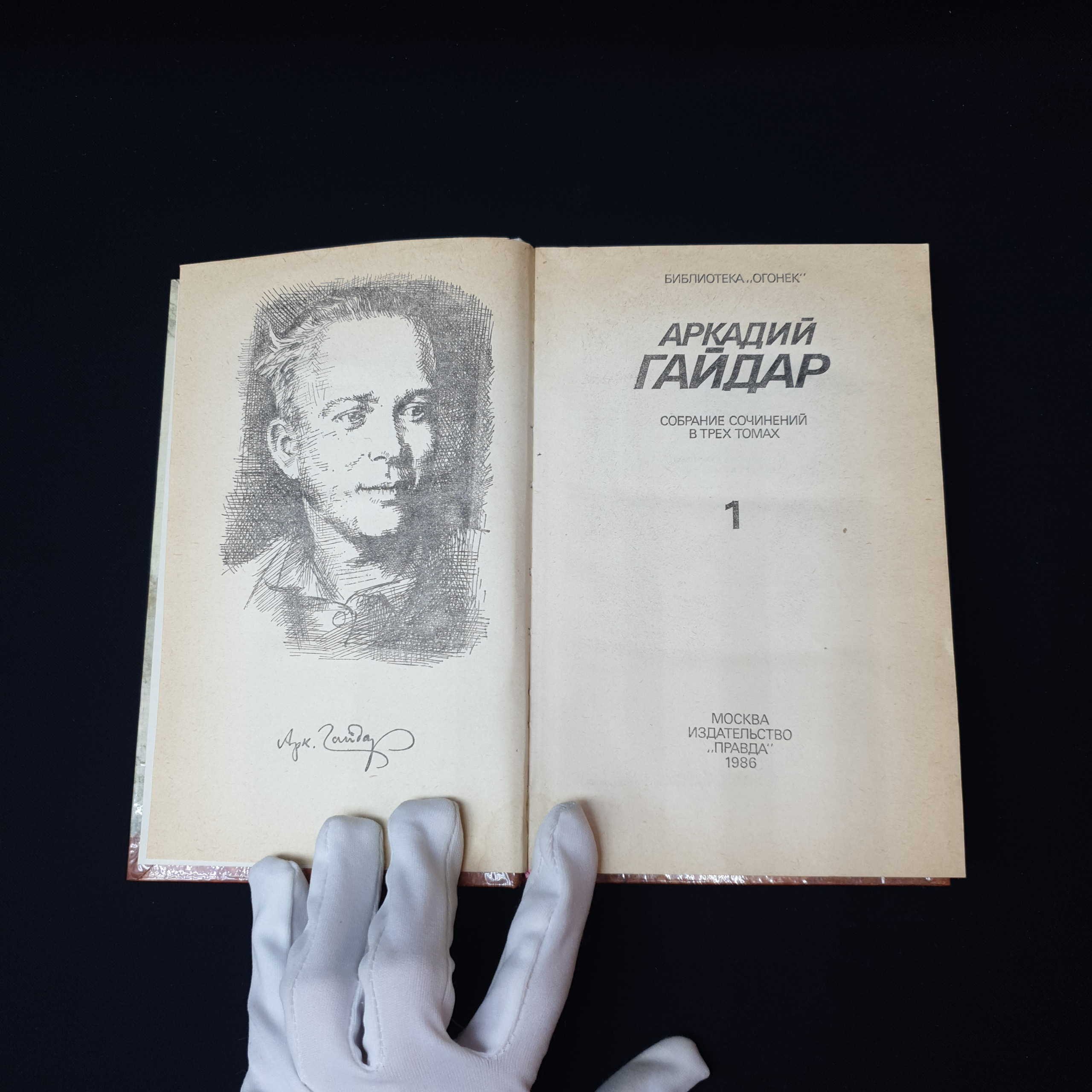Картинка 4