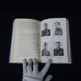 Картинка 5
