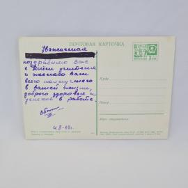 Картинка 2