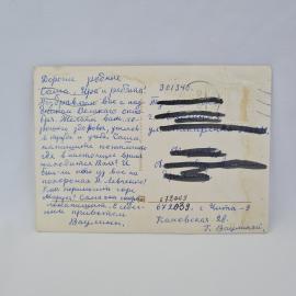 Картинка 2