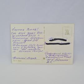 Картинка 2
