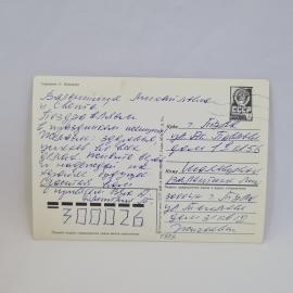 Картинка 2
