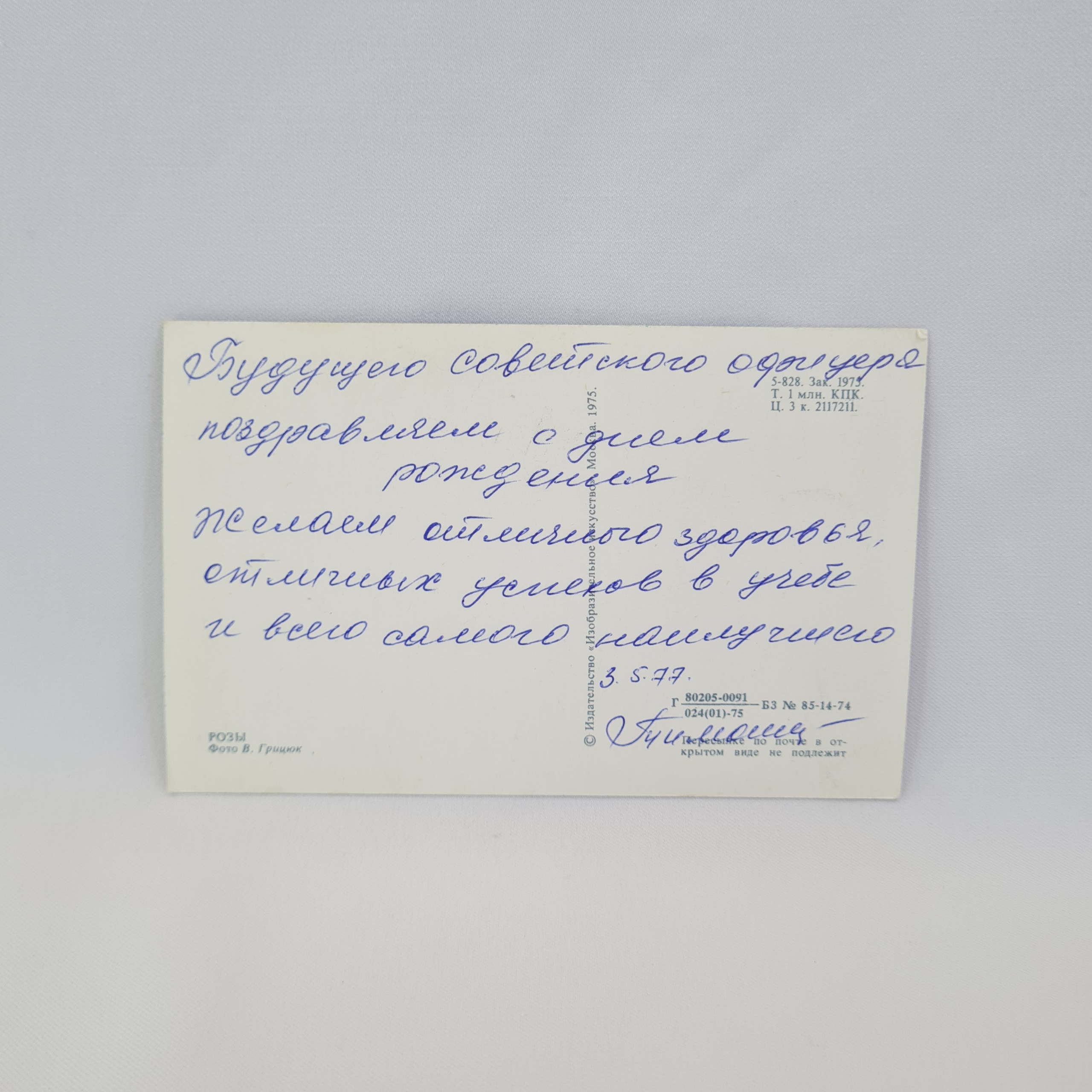 Картинка 2