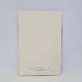 Картинка 3