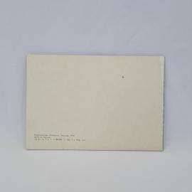 Картинка 3