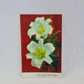 Картинка 1