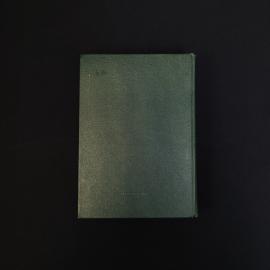 Картинка 2