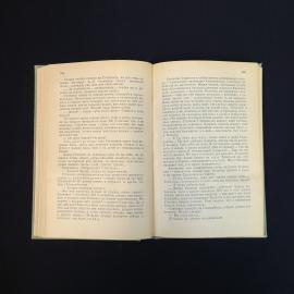 Картинка 5