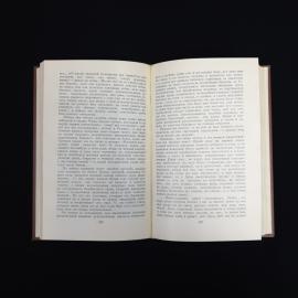 Картинка 5