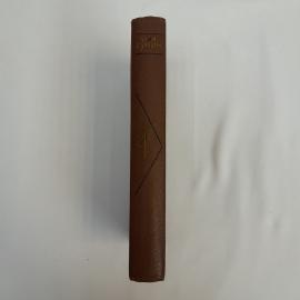 Картинка 5