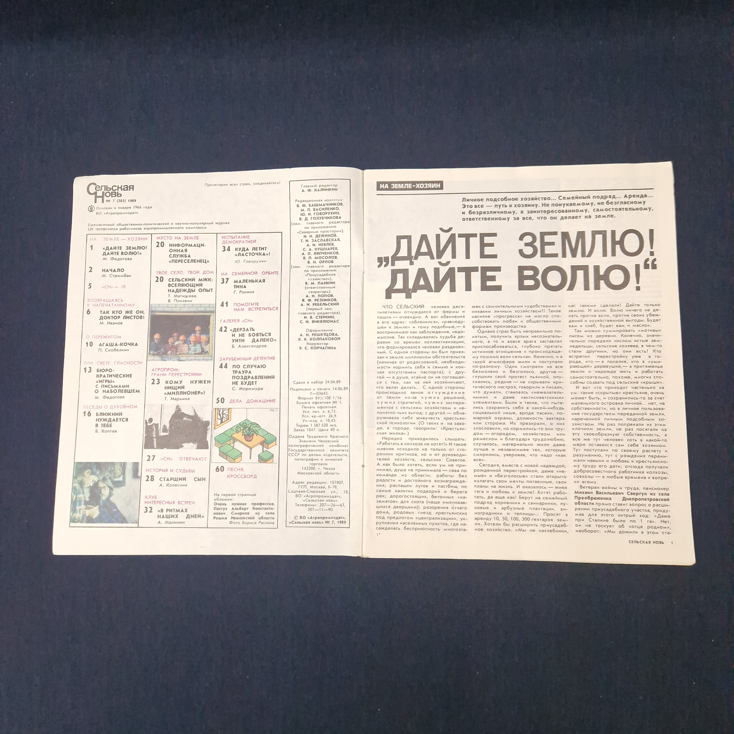 Картинка 3
