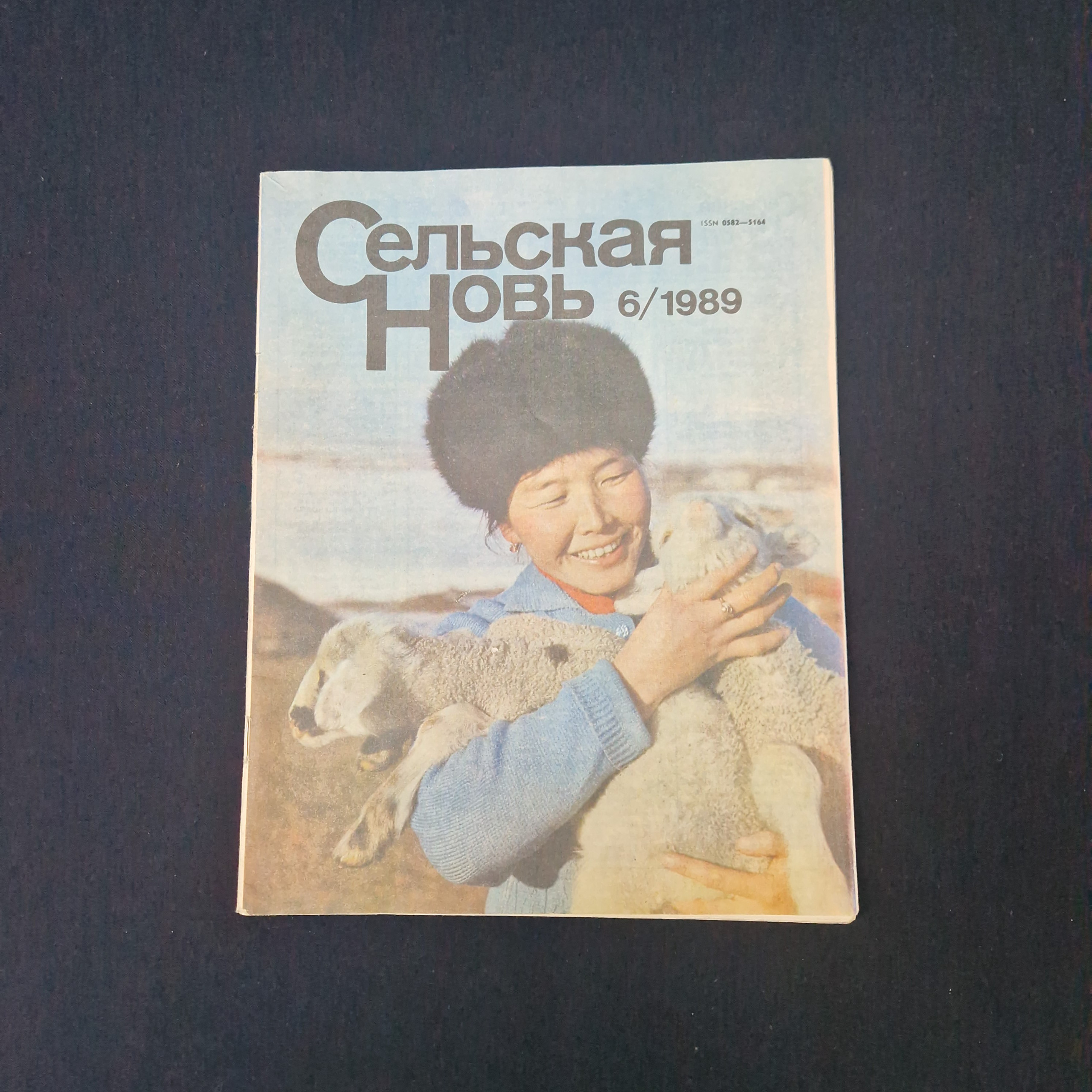 Картинка 1