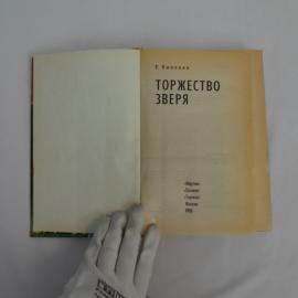 Картинка 3