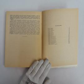 Картинка 5