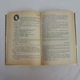 Картинка 4