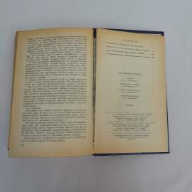 Картинка 5