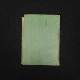 Картинка 7