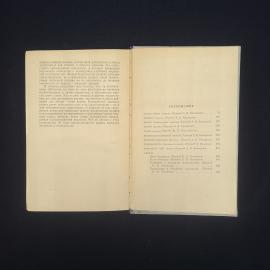 Картинка 5